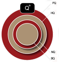 Boart Longyear coring